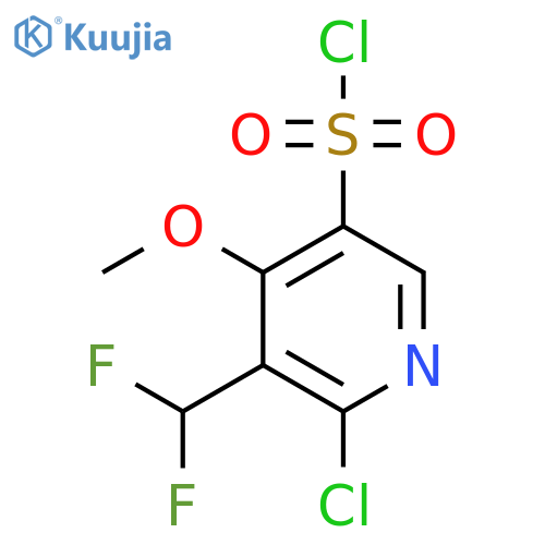 2-Chloro-3-(difluoromethyl)-4-methoxypyridine-5-sulfonyl chloride structure
