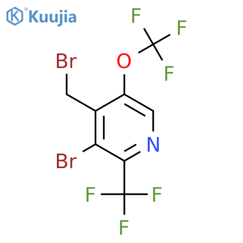 3-Bromo-4-(bromomethyl)-5-(trifluoromethoxy)-2-(trifluoromethyl)pyridine structure