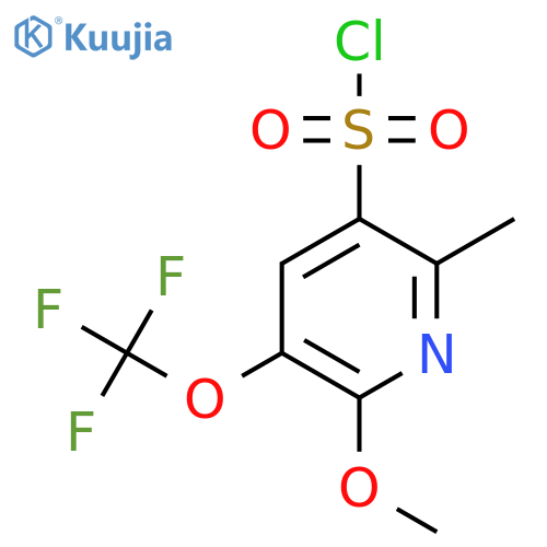 2-Methoxy-6-methyl-3-(trifluoromethoxy)pyridine-5-sulfonyl chloride structure