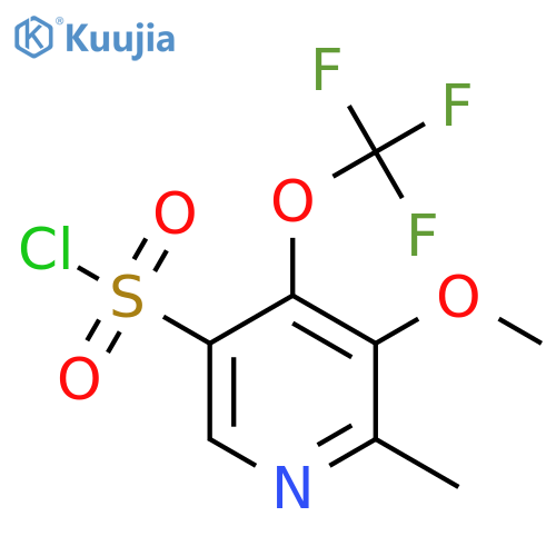 3-Methoxy-2-methyl-4-(trifluoromethoxy)pyridine-5-sulfonyl chloride structure