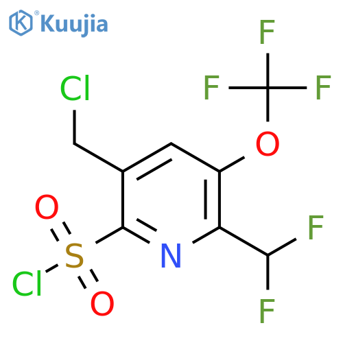 5-(Chloromethyl)-2-(difluoromethyl)-3-(trifluoromethoxy)pyridine-6-sulfonyl chloride structure