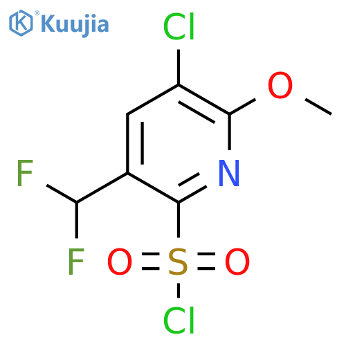 3-Chloro-5-(difluoromethyl)-2-methoxypyridine-6-sulfonyl chloride structure