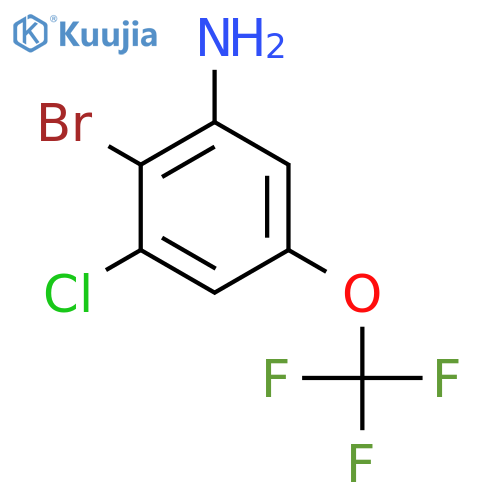2-Bromo-3-chloro-5-(trifluoromethoxy)aniline structure