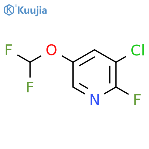3-Chloro-5-(difluoromethoxy)-2-fluoropyridine structure