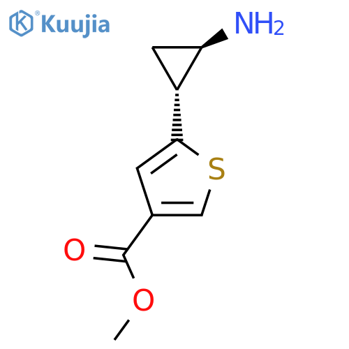 rac-methyl 5-[(1R,2R)-2-aminocyclopropyl]thiophene-3-carboxylate structure