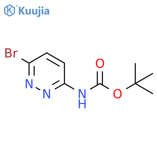 Carbamic acid, N-(6-bromo-3-pyridazinyl)-, 1,1-dimethylethyl ester structure