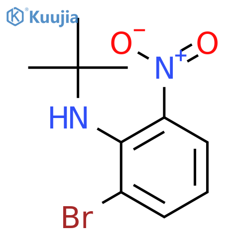 Benzenamine, 2-bromo-N-(1,1-dimethylethyl)-6-nitro- structure