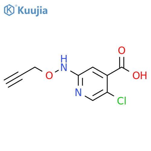4-Pyridinecarboxylic acid, 5-chloro-2-[(2-propyn-1-yloxy)amino]- structure