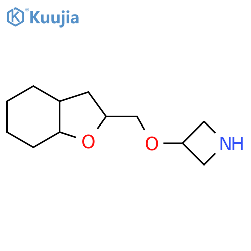3-[(Octahydro-1-benzofuran-2-yl)methoxy]azetidine structure