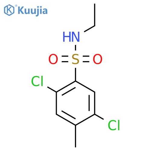 2,5-dichloro-N-ethyl-4-methylbenzene-1-sulfonamide structure