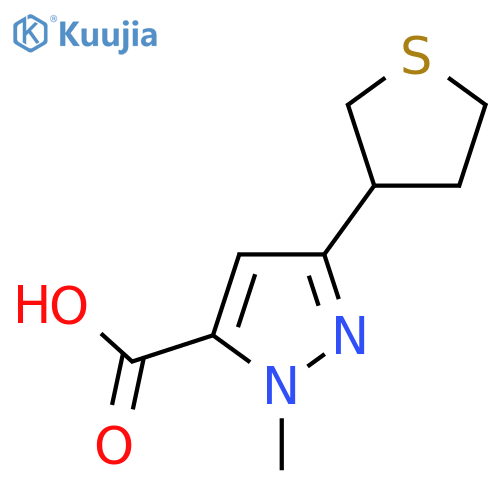 1-methyl-3-(thiolan-3-yl)-1H-pyrazole-5-carboxylic acid structure
