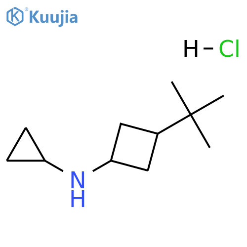 3-tert-butyl-N-cyclopropylcyclobutan-1-amine hydrochloride structure