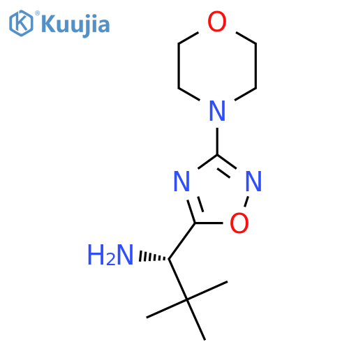 (1S)-2,2-dimethyl-1-3-(morpholin-4-yl)-1,2,4-oxadiazol-5-ylpropan-1-amine structure