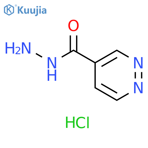 pyridazine-4-carbohydrazide hydrochloride structure