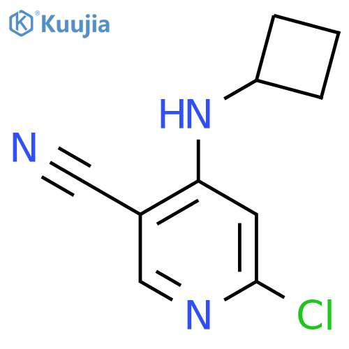 6-Chloro-4-(cyclobutylamino)nicotinonitrile structure