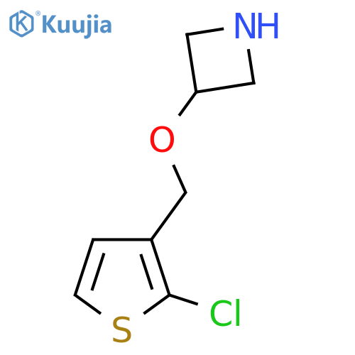3-(2-chlorothiophen-3-yl)methoxyazetidine structure