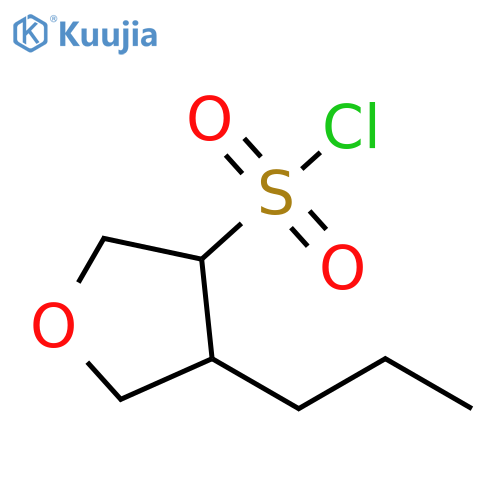 3-Furansulfonyl chloride, tetrahydro-4-propyl- structure