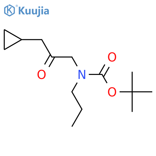 tert-butyl N-(3-cyclopropyl-2-oxopropyl)-N-propylcarbamate structure