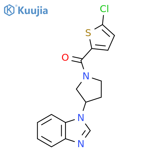 1-[1-(5-chlorothiophene-2-carbonyl)pyrrolidin-3-yl]-1H-1,3-benzodiazole structure