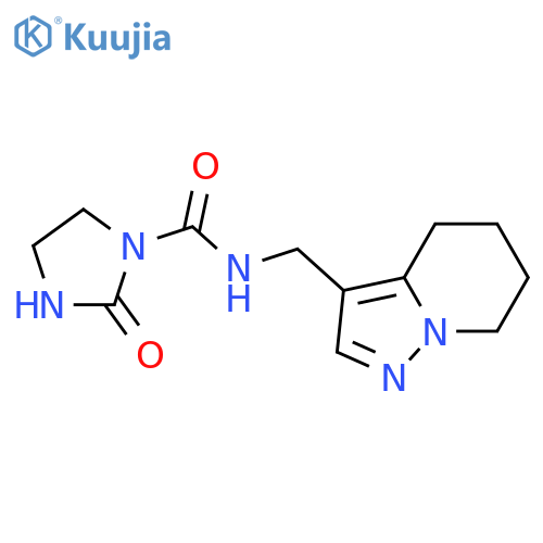 2-oxo-N-({4H,5H,6H,7H-pyrazolo[1,5-a]pyridin-3-yl}methyl)imidazolidine-1-carboxamide structure