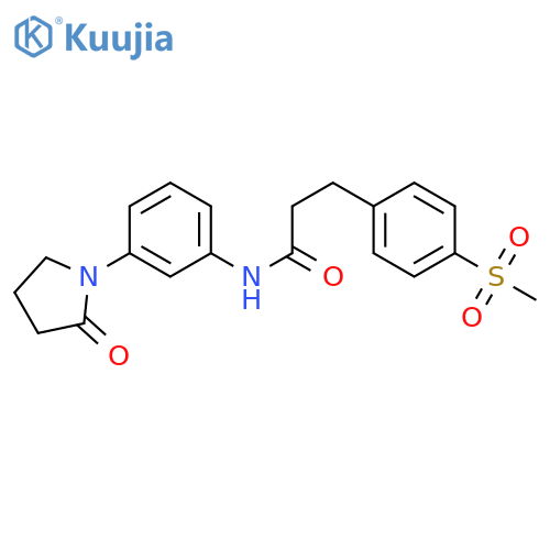 3-(4-methanesulfonylphenyl)-N-[3-(2-oxopyrrolidin-1-yl)phenyl]propanamide structure