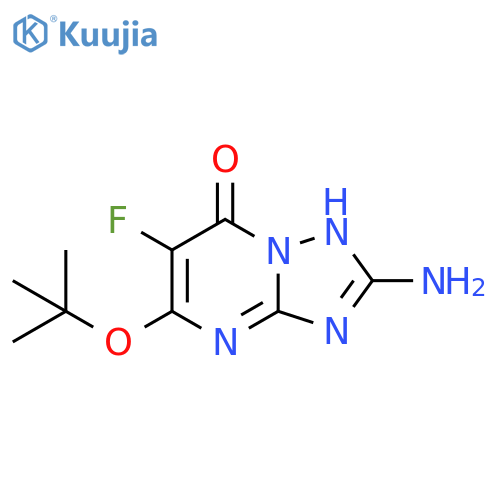 2-amino-5-(tert-butoxy)-6-fluoro-4H,7H-1,2,4triazolo1,5-apyrimidin-7-one structure