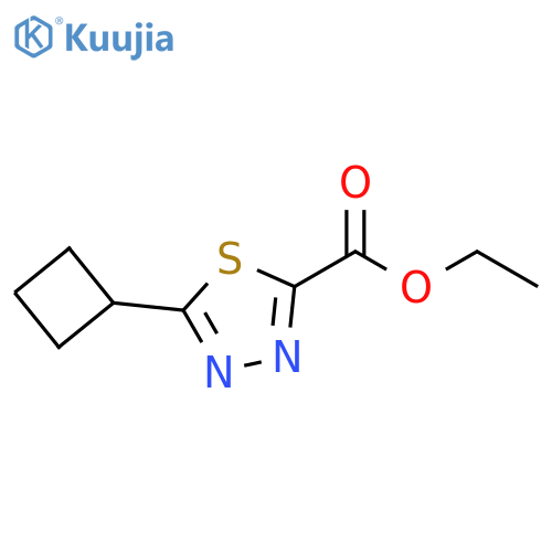 ethyl 5-cyclobutyl-1,3,4-thiadiazole-2-carboxylate structure