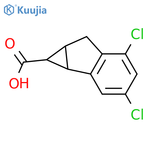 3,5-dichloro-1H,1aH,6H,6aH-cyclopropaaindene-1-carboxylic acid structure