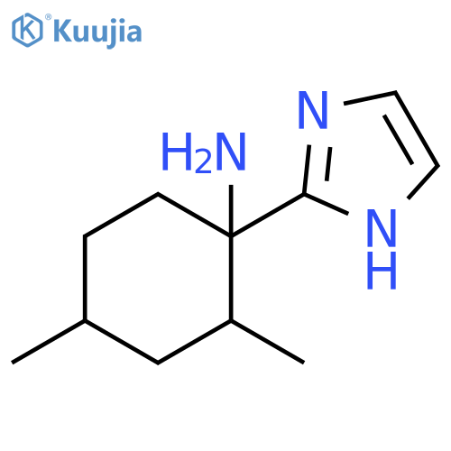 1-(1H-imidazol-2-yl)-2,4-dimethylcyclohexan-1-amine structure