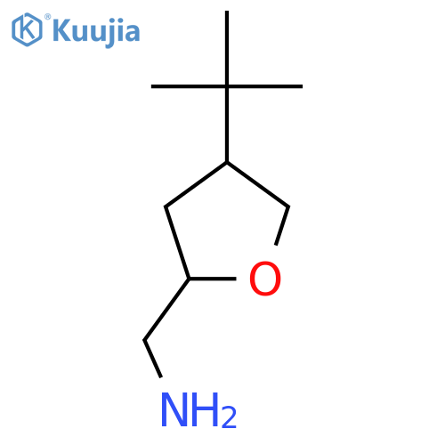 (4-tert-butyloxolan-2-yl)methanamine structure