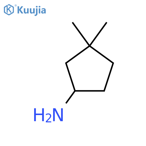3,3-dimethylcyclopentanamine structure