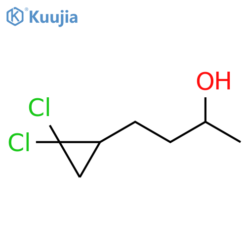 4-(2,2-dichlorocyclopropyl)butan-2-ol structure