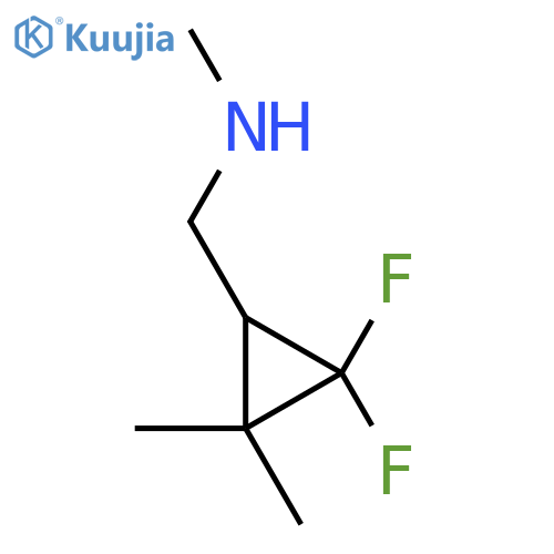 1-(2,2-difluoro-3,3-dimethylcyclopropyl)-N-methylmethanamine structure
