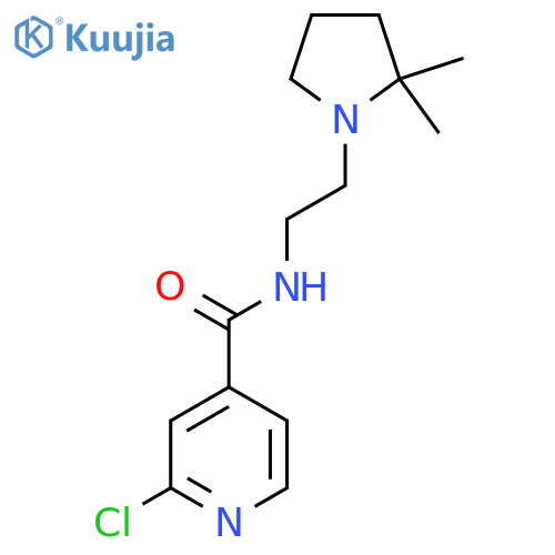 2-chloro-N-[2-(2,2-dimethylpyrrolidin-1-yl)ethyl]pyridine-4-carboxamide structure