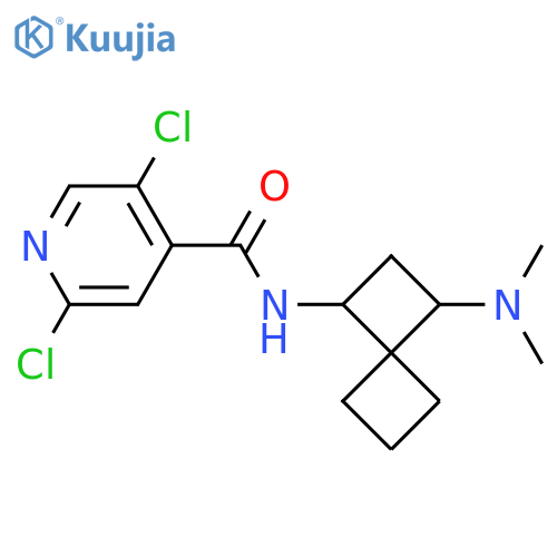 2,5-dichloro-N-[3-(dimethylamino)spiro[3.3]heptan-1-yl]pyridine-4-carboxamide structure