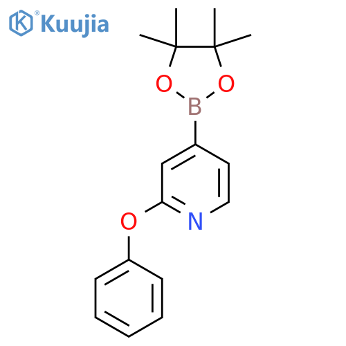 2-Phenoxypyridine-4-boronic acid pinacol ester structure