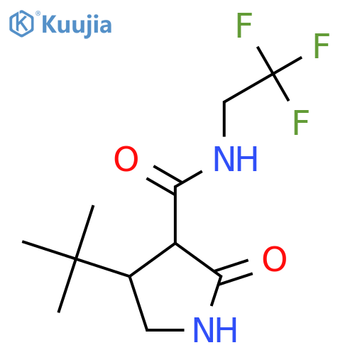 4-tert-butyl-2-oxo-N-(2,2,2-trifluoroethyl)pyrrolidine-3-carboxamide structure