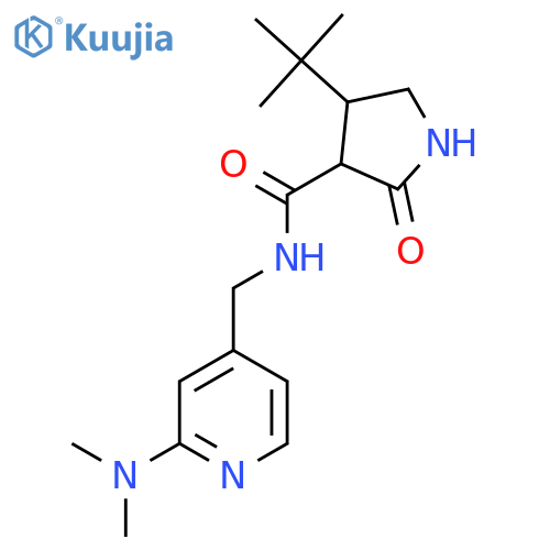 4-tert-butyl-N-{[2-(dimethylamino)pyridin-4-yl]methyl}-2-oxopyrrolidine-3-carboxamide structure