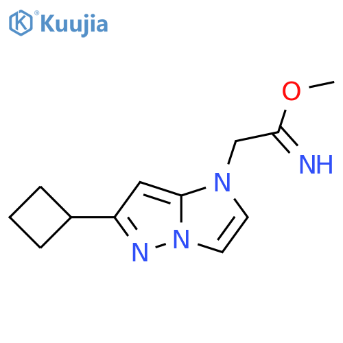 methyl 2-(6-cyclobutyl-1H-imidazo[1,2-b]pyrazol-1-yl)acetimidate structure