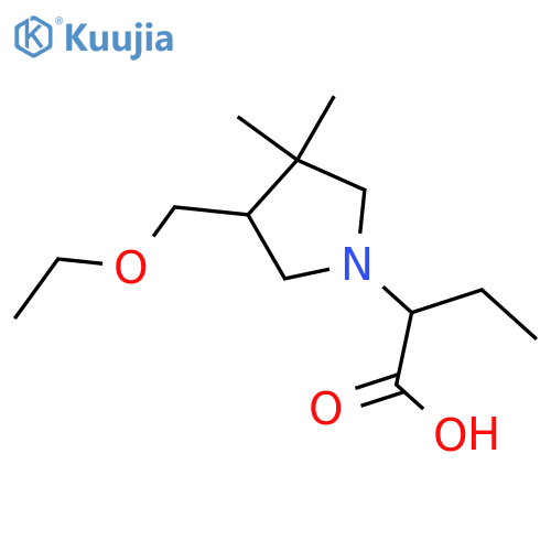 2-(4-(Ethoxymethyl)-3,3-dimethylpyrrolidin-1-yl)butanoic acid structure