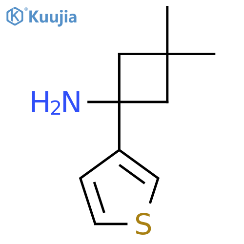 3,3-Dimethyl-1-(thiophen-3-yl)cyclobutan-1-amine structure