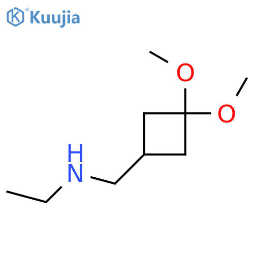 N-((3,3-Dimethoxycyclobutyl)methyl)ethanamine structure