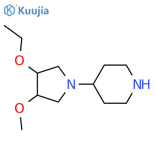 4-(3-Ethoxy-4-methoxypyrrolidin-1-yl)piperidine structure