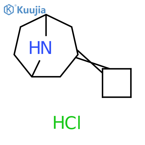 3-Cyclobutylidene-8-azabicyclo[3.2.1]octane hydrochloride structure
