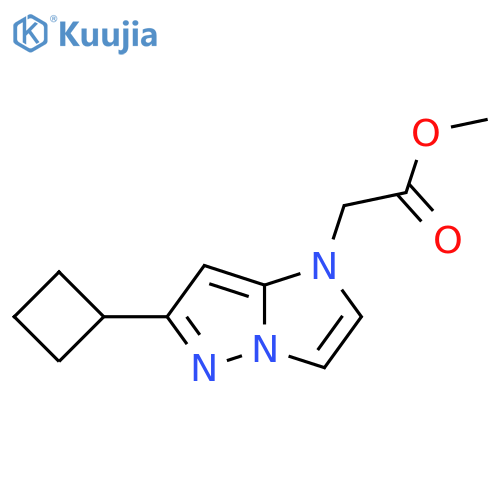 methyl 2-(6-cyclobutyl-1H-imidazo[1,2-b]pyrazol-1-yl)acetate structure
