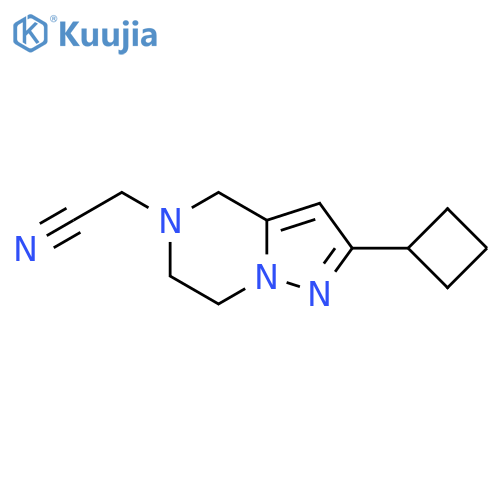2-(2-cyclobutyl-6,7-dihydropyrazolo[1,5-a]pyrazin-5(4H)-yl)acetonitrile structure