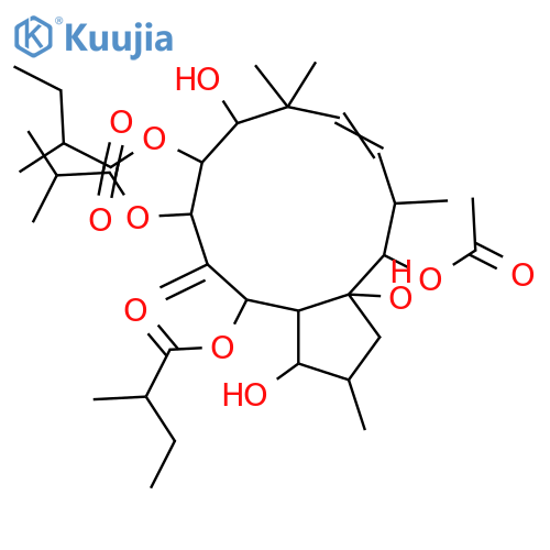 6(17),11-Jatrophadiene-3,5,7,8,9,14,15-heptol; (3β,5α,7β,8α,9α,11E,14β,15β)-form, 5,8-Bis-O-(2-methylbutanoyl), 7-O-(2-methylpropanoyl), 14-Ac structure