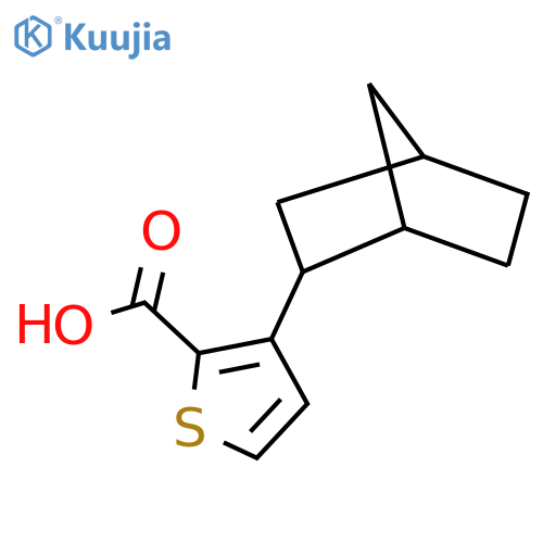 3-{Bicyclo[2.2.1]heptan-2-yl}thiophene-2-carboxylic acid structure