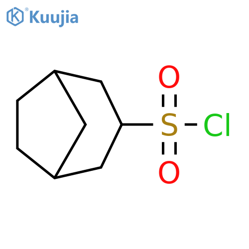 bicyclo[3.2.1]octane-3-sulfonyl chloride structure