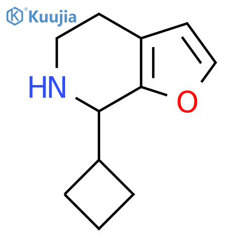 7-cyclobutyl-4H,5H,6H,7H-furo2,3-cpyridine structure